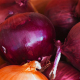 Photo of Red and Yellow Onions